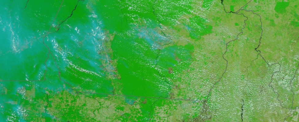 Área queimada em setembro de 2024, mês com mais focos de incêndios em florestas públicas não destinadas.