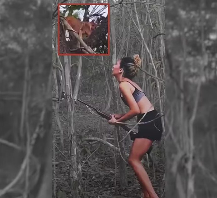 Mulher matou animal silvestre e compartilhou caçada nas redes