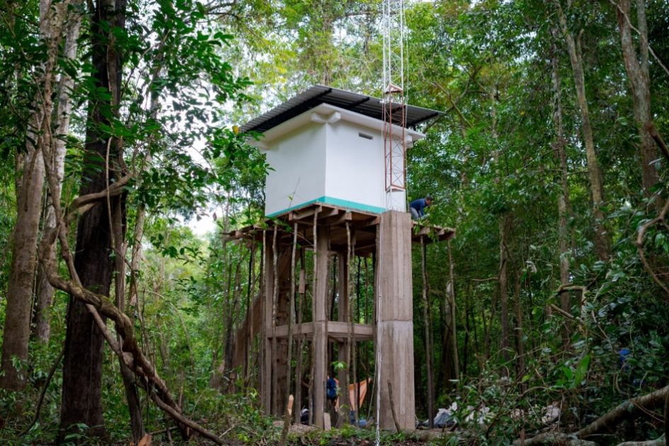 Processo de construção da torre de fluxo na Reserva Mamirauá.