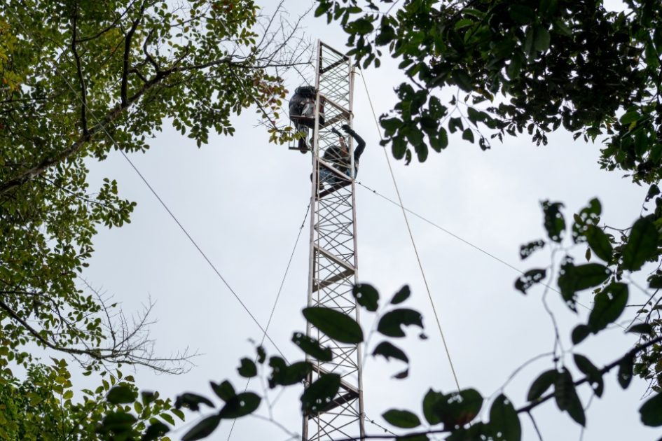 Torre de fluxo em meio à floresta de várzea da Reserva Mamirauá.