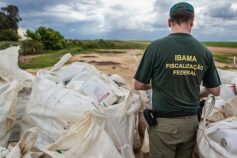 ibama