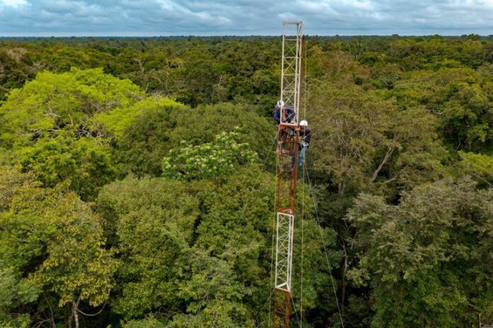 Amazônia recebe primeira torre em floresta de várzea para monitoramento de gases do efeito estufa