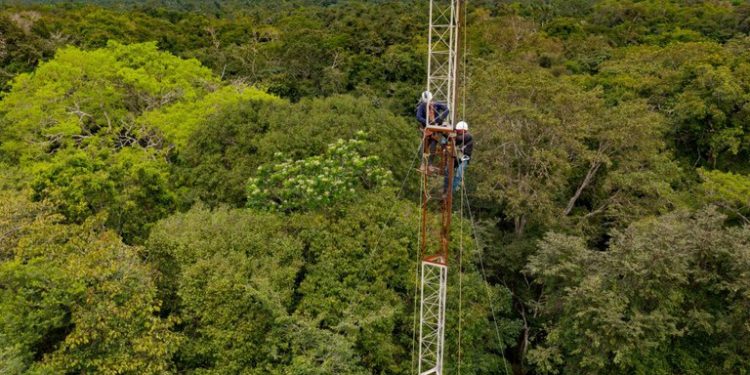 Amazônia recebe primeira torre em floresta de várzea para monitoramento de gases do efeito estufa