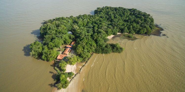 Ilha na Amazônia ajuda a desvendar campo magnético da Terra