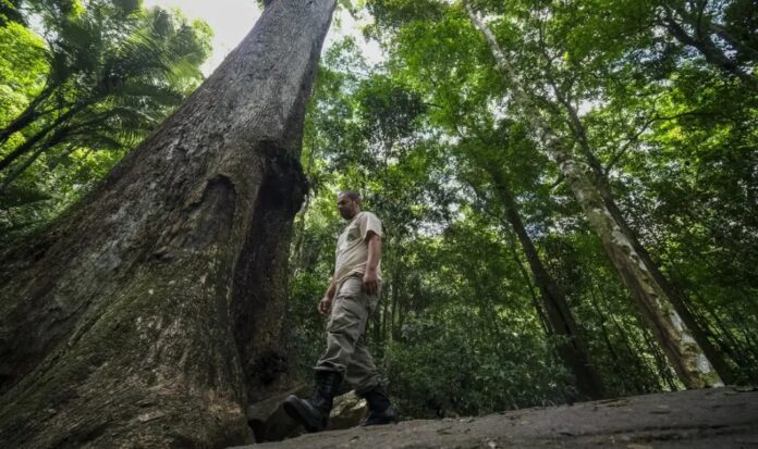 Conabio publica novas metas de biodiversidade para 2030.