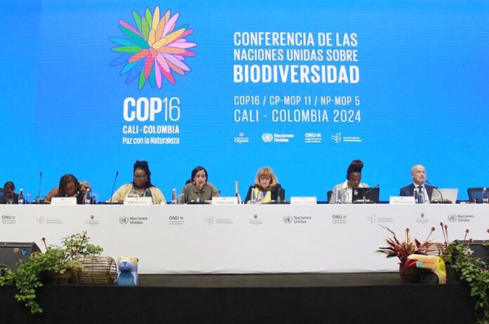 COP16 define que indústria farmacêutica e cosmética contribuam com investimentos para biodiversidade.