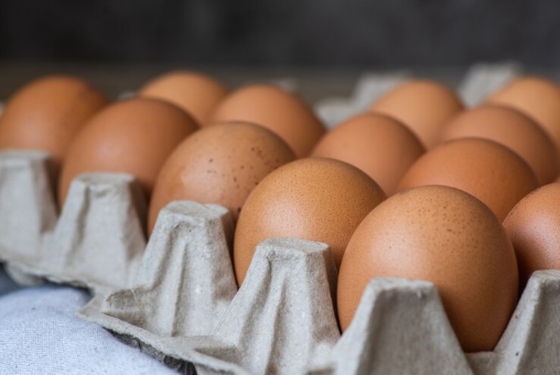 Ondas de calor levam preço do ovo às alturas.