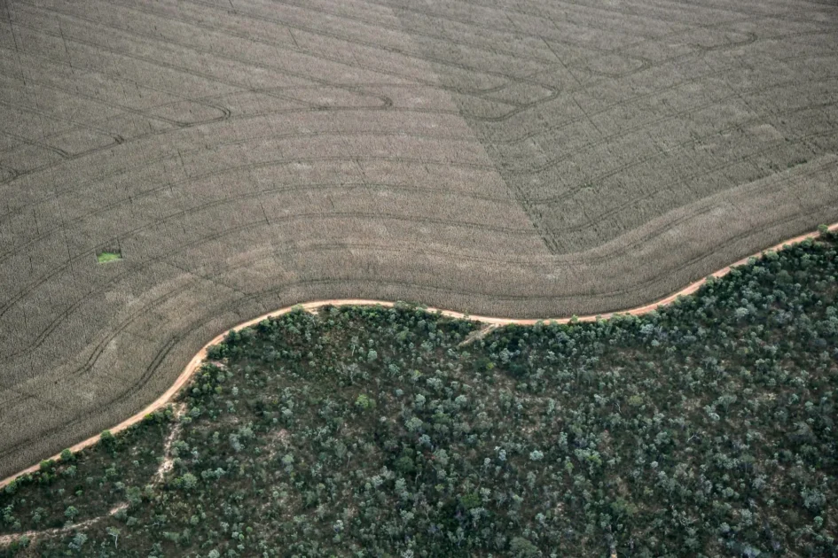 Oeco2 Cerrado vs agricultura 000 1HE5MH Nelson Almeida AFP.jpg