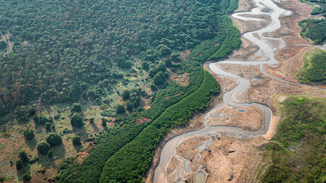dominacao na amazonia