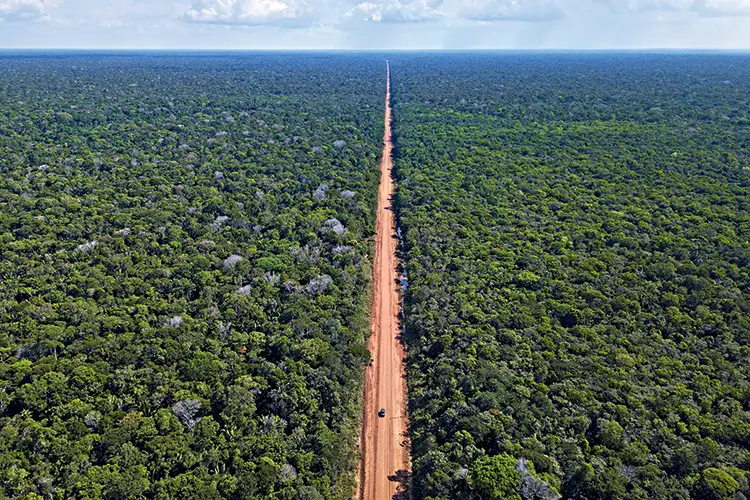 AMAZONIA BR 319 2018 6628.jpg.jpg 1