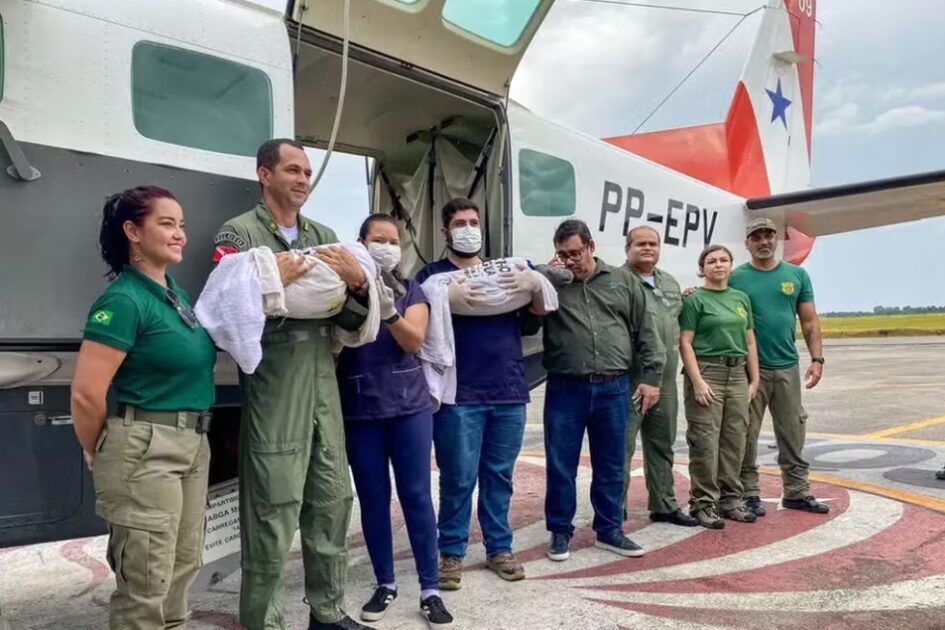 Agentes que atuaram no transporte para Belém. 