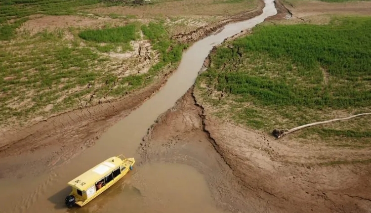 Seca em Pauini, cidade do Amazonas, em setembro de 2024.