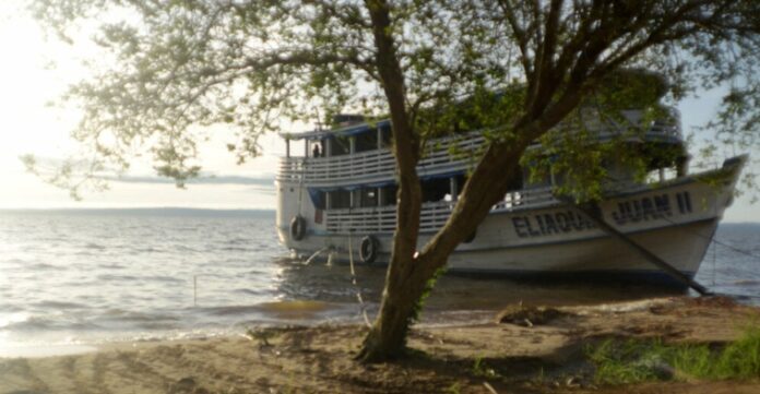 Contaminação em áreas preservadas: estudo detecta 13 pesticidas em rios da Amazônia.
