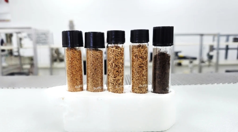 Biocombustível de coco verde une inovação, economia circular e menos lixo nas ruas.