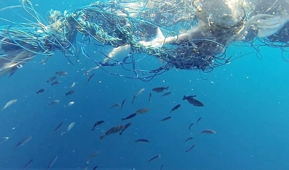 Os "ninhos de plástico" estavam ficando com uma coloração azul, proveniente de material de pesca, como fibras e cordas de plástico.