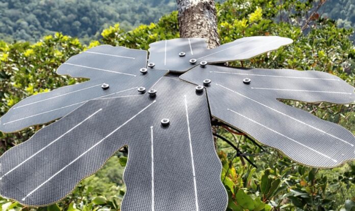 Tecnologia brasileira de captação de sons da floresta amazônica usa microfones instalados na copa de árvores.