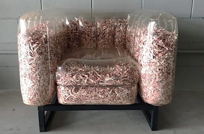 Dinheiro reciclado: Brasil lidera iniciativa global que transforma cédulas em peças de design.