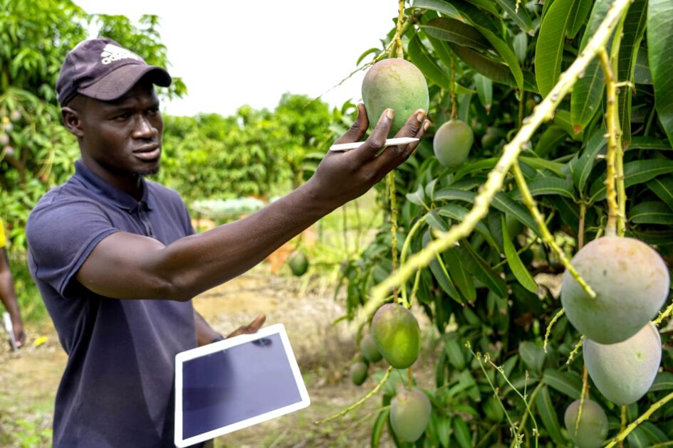 Como as mudanças climáticas estão redefinindo os locais de cultivo de alimentos no mundo.
