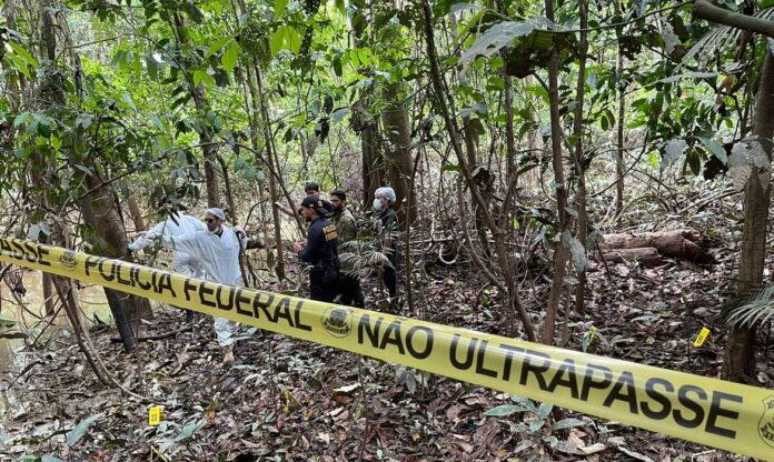 Estudo da ONU revela como o crime organizado está devastando a Amazônia.