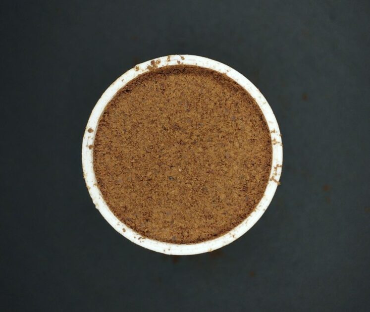 Imagem de amostra de café capturada pelo celular para análise.