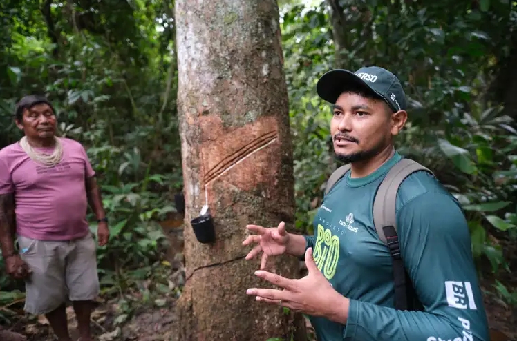 Produção de borracha na Terra Indígena Erikpatsa, do Povo Rikbaktsa (MT).