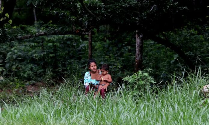 Terras indígenas possuem biomas 31% mais preservados do que áreas não demarcadas, revela estudo.