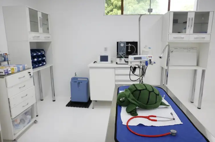 Petróleo na Margem Equatorial: novo centro de reabilitação de fauna tenta cumprir exigência para exploração