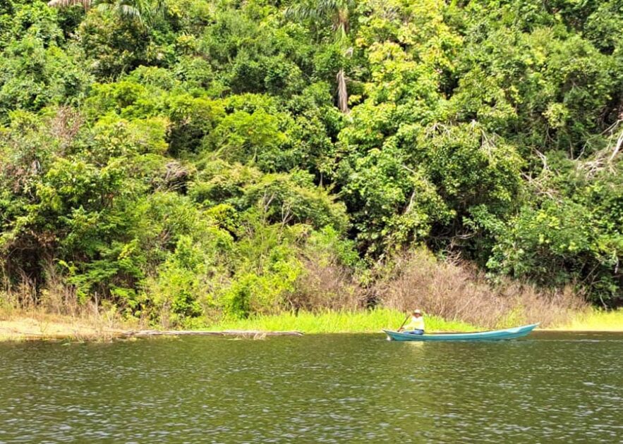 Resultados da pesquisa evidenciam o potencial biotecnológico da diversidade microbiana amazônica.