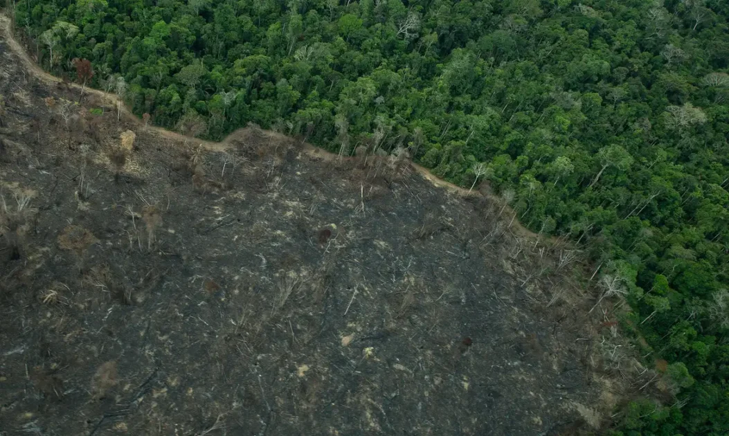 Projeto de licenciamento ambiental ameaça direitos e é visto como retrocesso, alerta MMA.