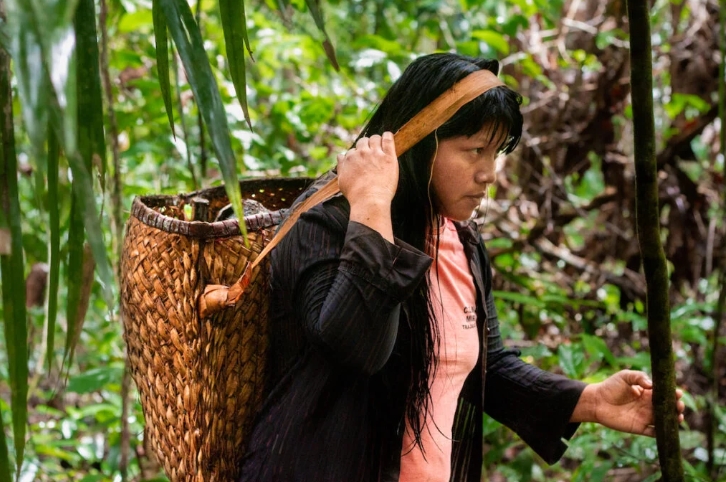 Atlas da Amazônia Brasileira traz saberes e denúncias de quem vive a floresta.