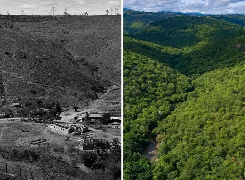 A fazenda em 1998 (à esquerda) e atualmente (à direita) — Foto: Instagram / @institutoterraoficial / Reprodução.