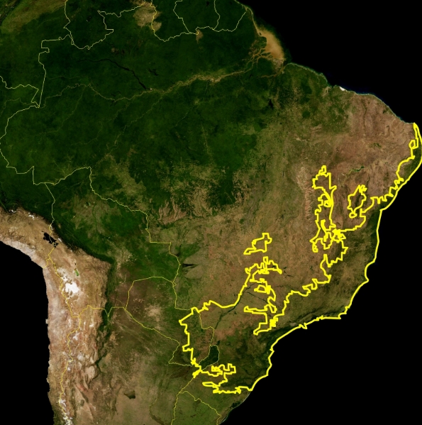Na imagem da Nasa (agência norte-americana de Espaço e Aeronáutica), é possível observar a ampla região que a Mata Atlântica compreende no litoral do Brasil.