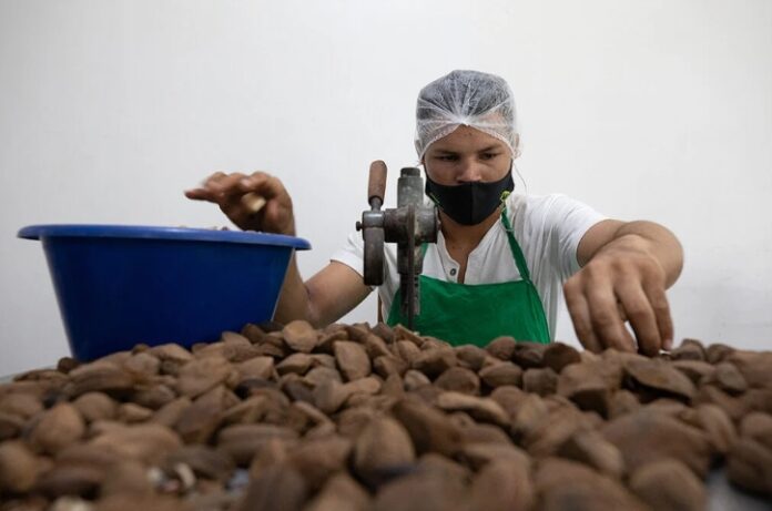 Usina de Beneficiamento de Castanha do Brasil da ASSOAB ( Assossiação dos Agropecuários de Baruri) em Beruri, Amazonas. Foto: Bruno Kelly.
