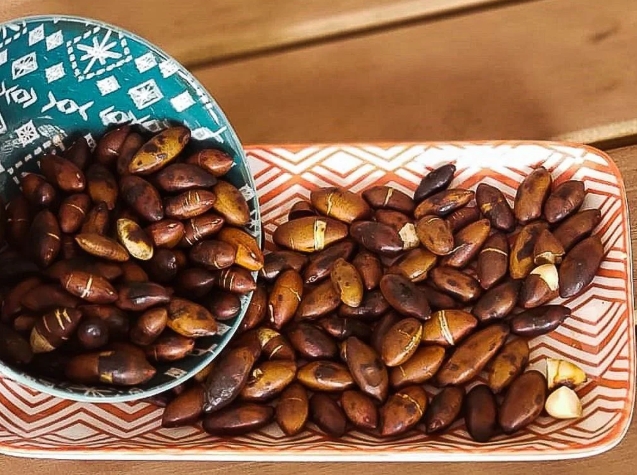 Menos famosa que o açaí, castanha de baru é tesouro do Cerrado.