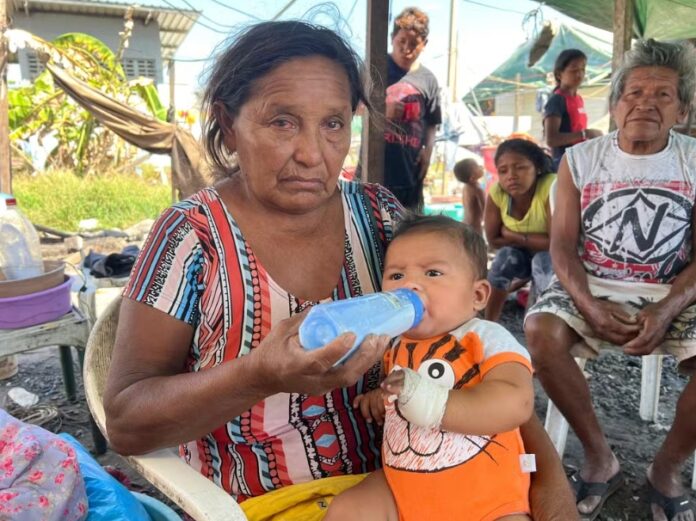 Pequeno Yefersson Jesus, de apenas 5 meses, foi baleado na mão em ataque a tiros em ocupação de indígenas migrantes na Amazônia Legal.