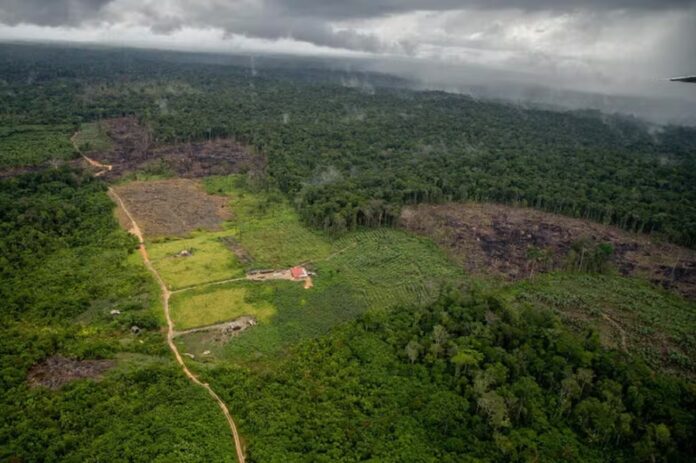 Área com desmatamento em meio à floresta amazônica.