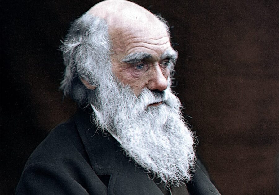 Charles Darwin 1