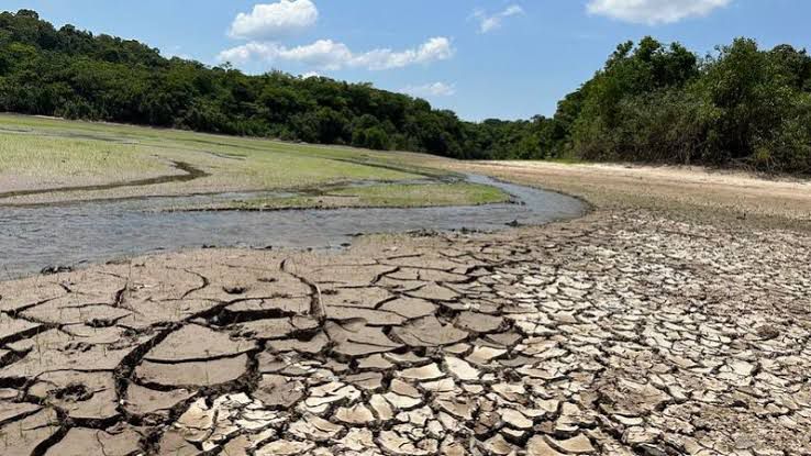 estiagem amazônica 