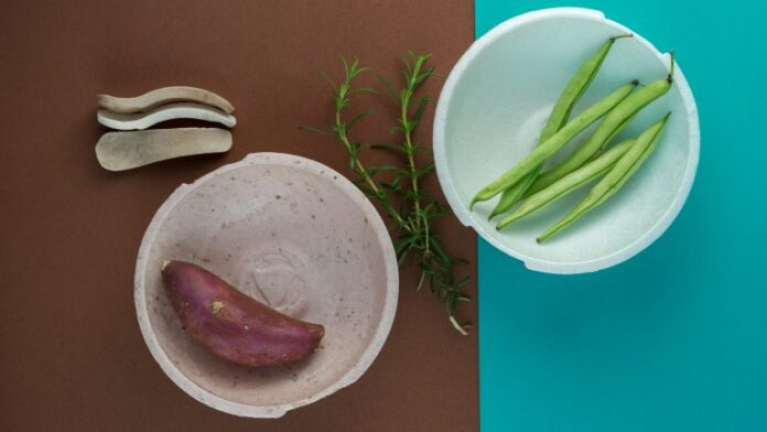 Startup amazônica transforma mandioca em bioembalagens sustentáveis.