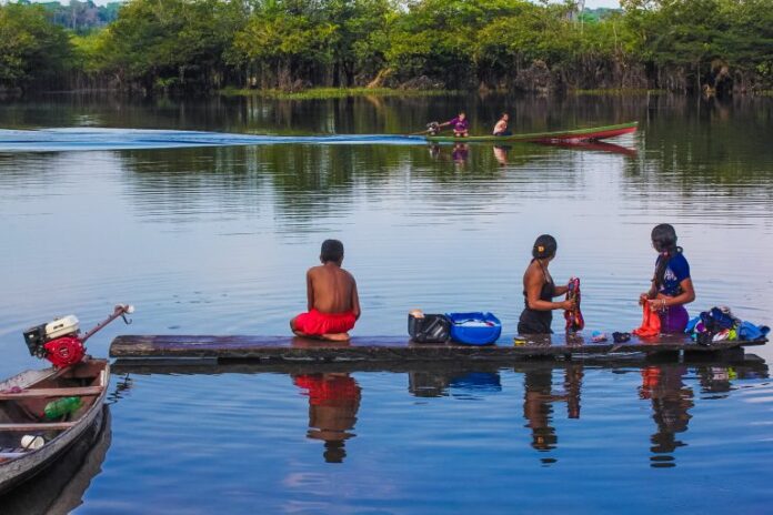 Na Amazônia, 95% dos projetos de créditos de carbono estão em terras privadas; indígenas e ribeirinhos são minoria.