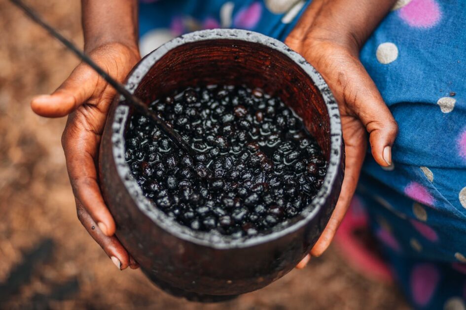 Amazônia tem a sétima melhor fruta do mundo; descubra qual 1 Brasil tem a sétima melhor fruta do mundo; descubra qual.