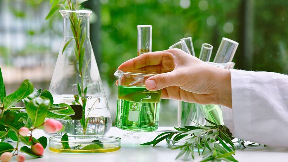 chamado da Amazônia 