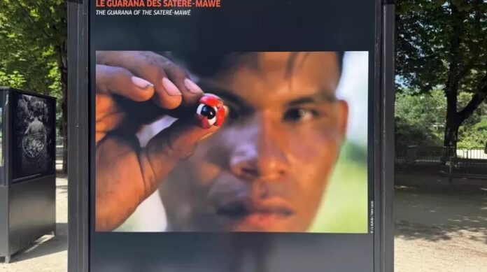Povos da Amazônia ganham voz e imagem em exposição na França.