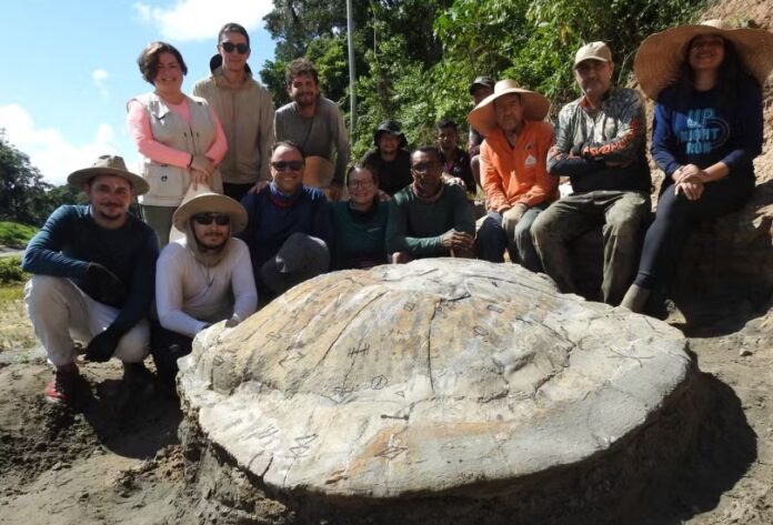 Equipe formada por pesquisadores do Acre e de São Paulo atuam na expedição que encontrou o fóssil.