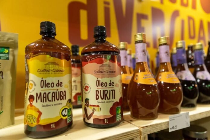 Programa estimula geração de renda na sociobioeconomia por meio de compras sustentáveis.