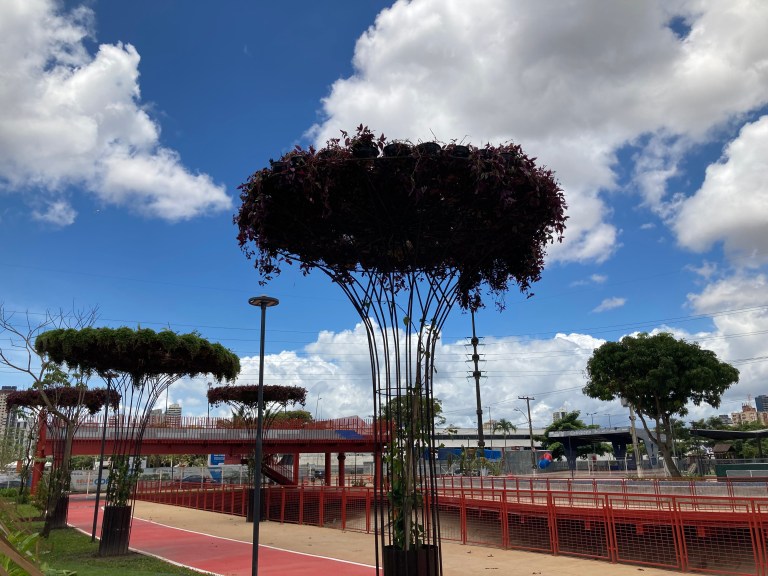 A prefeitura de Belém está chamando as árvores artificiais que colocou em um novo parque em construção para a COP30 de “jardins suspensos”. 