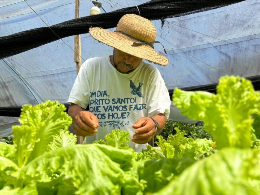 Como o Festival de Parintins fortalece a economia local no Amazonas.