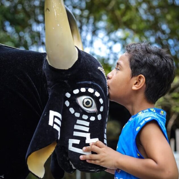 No Festival de Parintins, cresce o número de crianças que sonham em ser a alma dos bois.