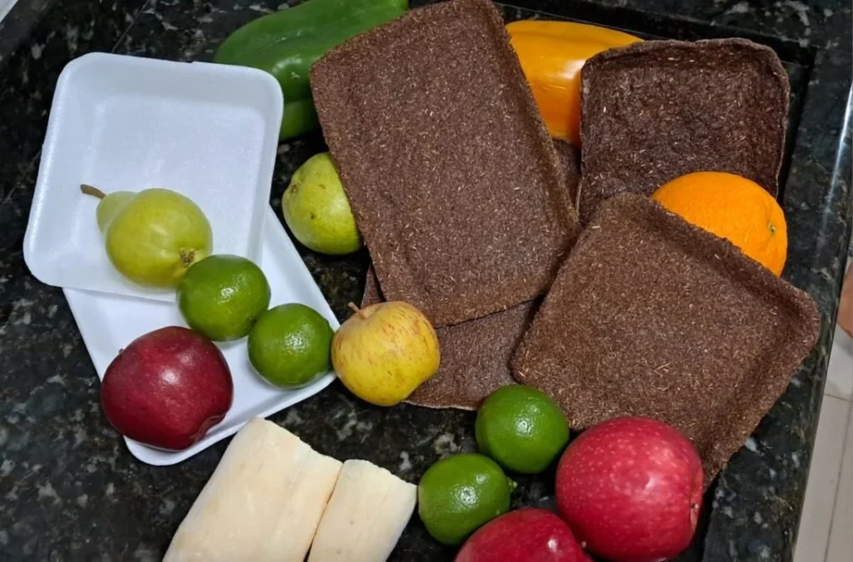 Bandeja biodegradável de resíduos de mandioca é uma alternativa sustentável às bandejas de isopor ou plástico. 