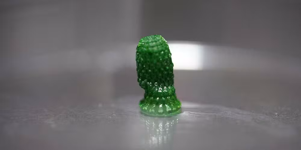 Estrutura impressa em 3D com cianobactérias crescendo em seu interior após um período de desenvolvimento de 60 dias.